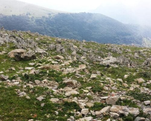 A Daily dose of Dolmen #42